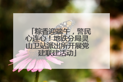 粽香迎端午，警民心连心！地铁分局灵山卫站派出所开展党建联建活动